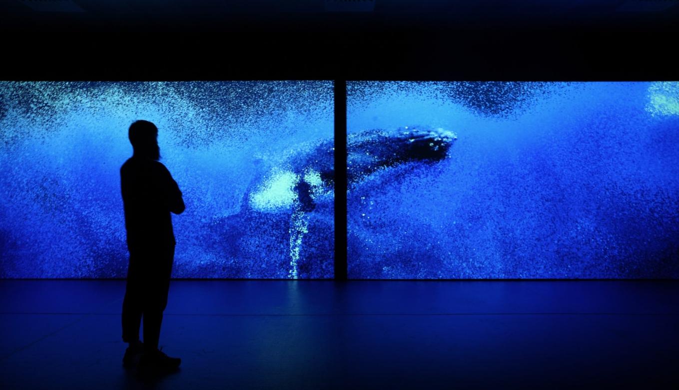 Silhouette of a person in front of a dark blue underwater scene