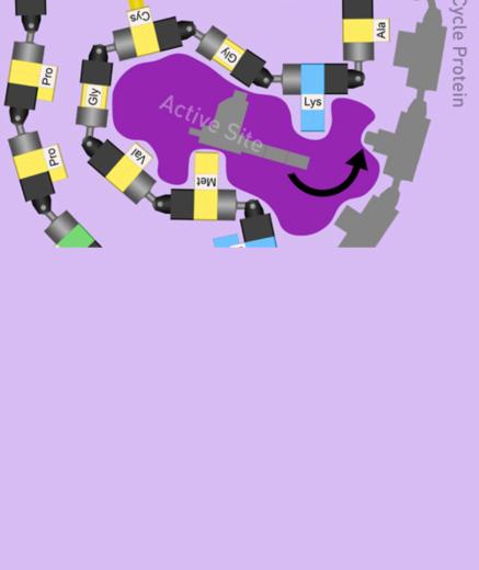 Partial Kinase Mat showing model amino acids near the active site