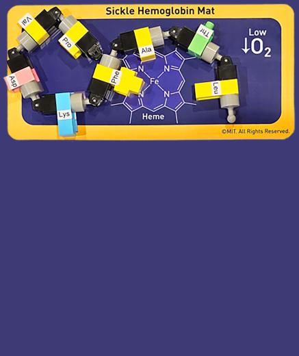Sickle Hemoglobin Mat with protein model