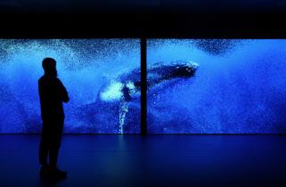 Silhouette of a person in front of a dark blue underwater scene