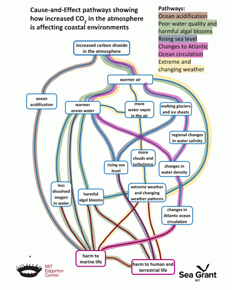 A color-coded diagram depicts the 5 pathways leading from increased CO₂ in the atmosphere to harm to terrestrial life.